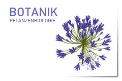 Botanik | Pflanzenbiologie