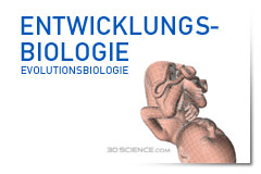 Entwicklungsbiologie | Evolutionsbiologie
