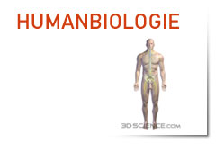 Humanbiologie