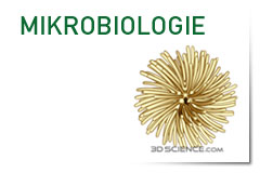 Mikrobiologie