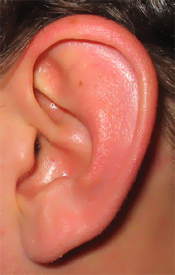 Ohr des Menschen
