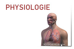 Physiologie