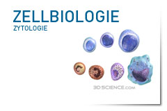Zellbiologie | Zytologie