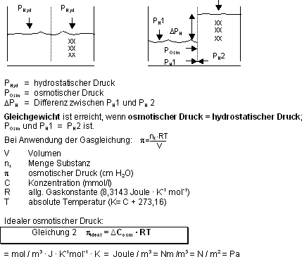 Stoffaustausch im Körper